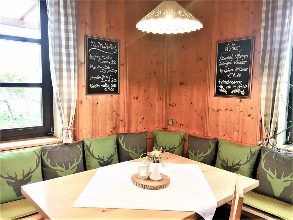 Landhaus Weinblick Rohrendorf bei Krems Dış mekan fotoğraf