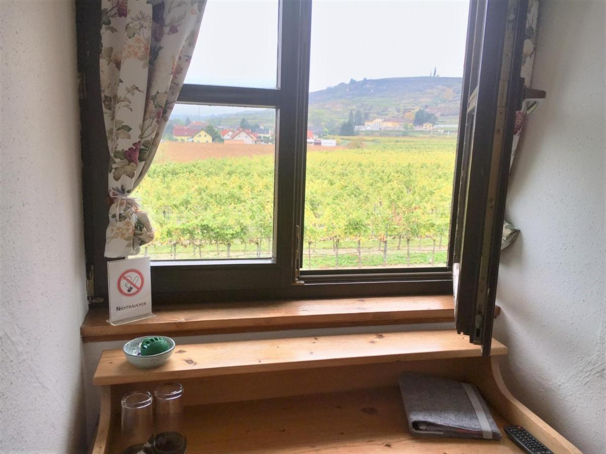 Landhaus Weinblick Rohrendorf bei Krems Dış mekan fotoğraf